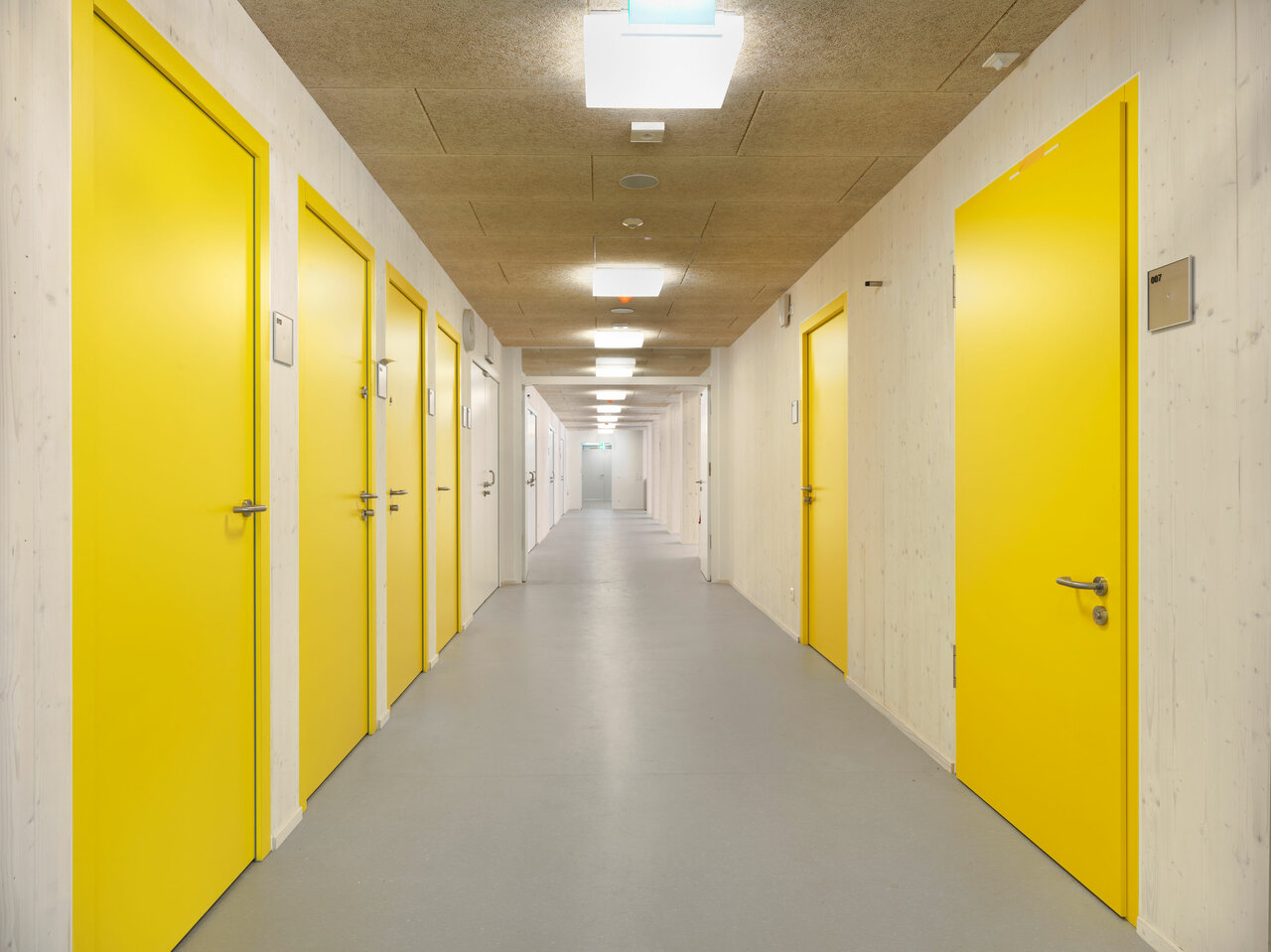 Innenaufnahme Korridor mit gelben Türen Schulbau Barnet-Licht-Platz Leipzig